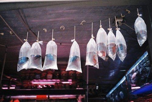 此情终憾生(憾生佟夜辉)全文免费阅读无弹窗大结局_(此情终憾生)憾生佟夜辉免费阅读无弹窗最新章节列表_笔趣阁(憾生佟夜辉)
